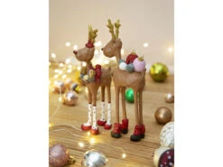 2022 Herr & Frau Rudolf -cardport shop 25612 env 1 2202 high