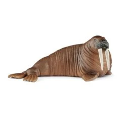 SCHLEICH 14803 - Wild Life - Walross