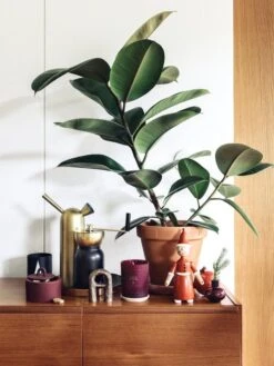 Klong Svante Gießkanne, Messing 8 Klong Svante Gießkanne, Messing -cardport shop Fds joulu1718 media