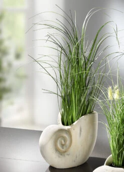 Grasbusch Aus Kunstmaterial In Muschel -cardport shop grasbusch aus kunstmaterial in muschel farbe gruen creme 2