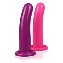 Holy Dong Medium Silicone Dildo 1612 Pink -cardport shop holy dong medium silicone dildo 1612 pink4